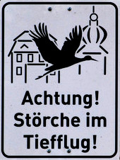 Achtung Vogelschlag!