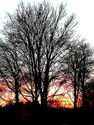 Sonnenaufgang Ulm.jpg