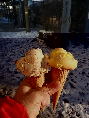 Eiszeit in Neu-Ulm_03.jpg