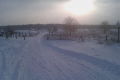 IMAG0087 (Medium).jpg