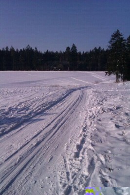 Waller bei Hersbruck
