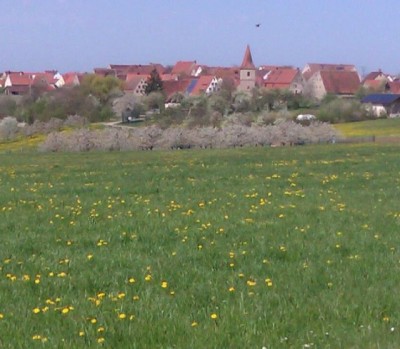 Blick auf Fünfbronn